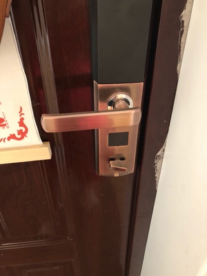 分析木工师傅解说晶思达指纹锁怎么样,安全系数高吗,真实评测