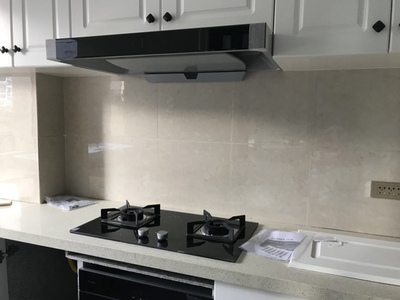 解说图文解说方太 ZTD100J