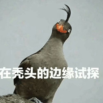 挺好的，，哈哈哈哈哈哈哈哈哈哈哈哈哈哈哈哈哈哈哈哈哈哈哈哈哈哈哈哈哈哈哈哈哈哈哈哈哈哈哈哈挺好的，好看，哈哈哈哈哈哈哈哈哈哈哈哈哈哈哈哈哈哈哈哈哈哈哈哈哈哈哈哈哈哈哈哈哈哈哈哈哈哈哈哈哈哈哈哈