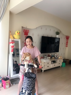 【揭秘】emicro小海豚电动车怎么样,适合女生吗?电池续航能力好吗