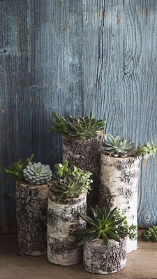 此用户没有填写评价。