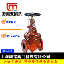 Marine flange cast iron gate valve CB T465-1995 seawater slide oil line valve AAS type 10506580100