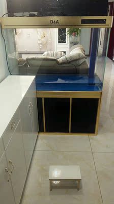 真实使用感受给家里添个德克鱼缸水族箱怎么样,上档次吗,显得有品味吗