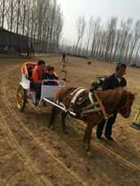 Two-wheeled leisure wagon Schetland pony cart dog pull cart sheep cart sports outdoor shopkeeper recommended sale sale