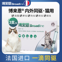 Bolheen cat repellent drug droplet in vitro of insecticide in the body of Bolheen cat