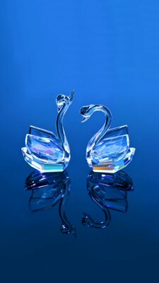 2. 当大家看到我的这一篇评价时，表示我对产品是认可的，尽管我此刻的评论是复制黏贴的。这一方面是为了肯定商家的服务，另一方面是为了节省自己的时间，因为差评我会直接说为什么的。所以大家就当作是产品质量合格的意思来看就行了。最后祝店家越做越好，大家幸福平安，中华民族繁荣昌盛。?6?5