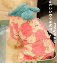 End-of-season clearance is very soft bear home clothes soft and comfortable pet clothes dog four-legged autumn and winter