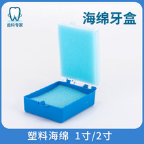 Dental sponge tooth box Blue plastic denture tooth box Denture processing plant placement box tooth storage box 1 inch 2 inch