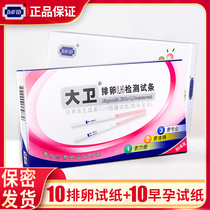 David detects ovulation test strips 10 Early pregnancy test strips Female pregnancy test strips 10 pregnancy test strips LH infertility preparation for pregnancy