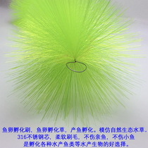 Koi spawning grass goldfish eggs hatching brush hatching grass fish eggs implantation aquaculture fish nest