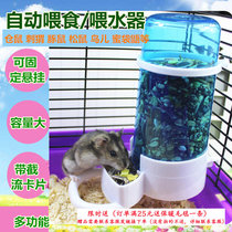 Hedgehog hamster feeder automatic feeder little hamster Dutch pig Golden Bear guinea pig rabbit squirrel rabbit eating Basin