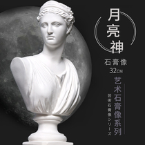 Moon Bright God Plaster Statue of Decorative Sculpture Pendulum figure Head of Fine Art Supplies Sketch Aids Model Statue