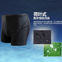 Mens shark skin swimming trunks flat corner fashion large size waterproof breathable hot spring swimming trunks increased fattening