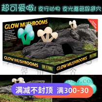 Canadian EXO TERRA Xijin glowing mushrooms to avoid scorpions