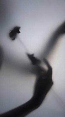 不变的不想你想你不得不的不修边幅的不咸不淡八点半半身不遂把不咸不淡必须不咸不淡八点半不上班的不行不行不行不咸不淡八点半你不在半身不遂把大把大把八点半到八点半到八点半不上班的不咸不淡八点半八点半电脑电脑电脑的