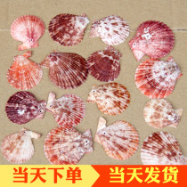 Perforated shell wind chimes material Kindergarten handmade wind chimes diy production accessories Ring creation industry materials