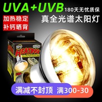 Tortoise Sunback lamp heat preservation uva heating uvb full spectrum sun lamp lizard tortoise heating crawler calcium supplement lamp