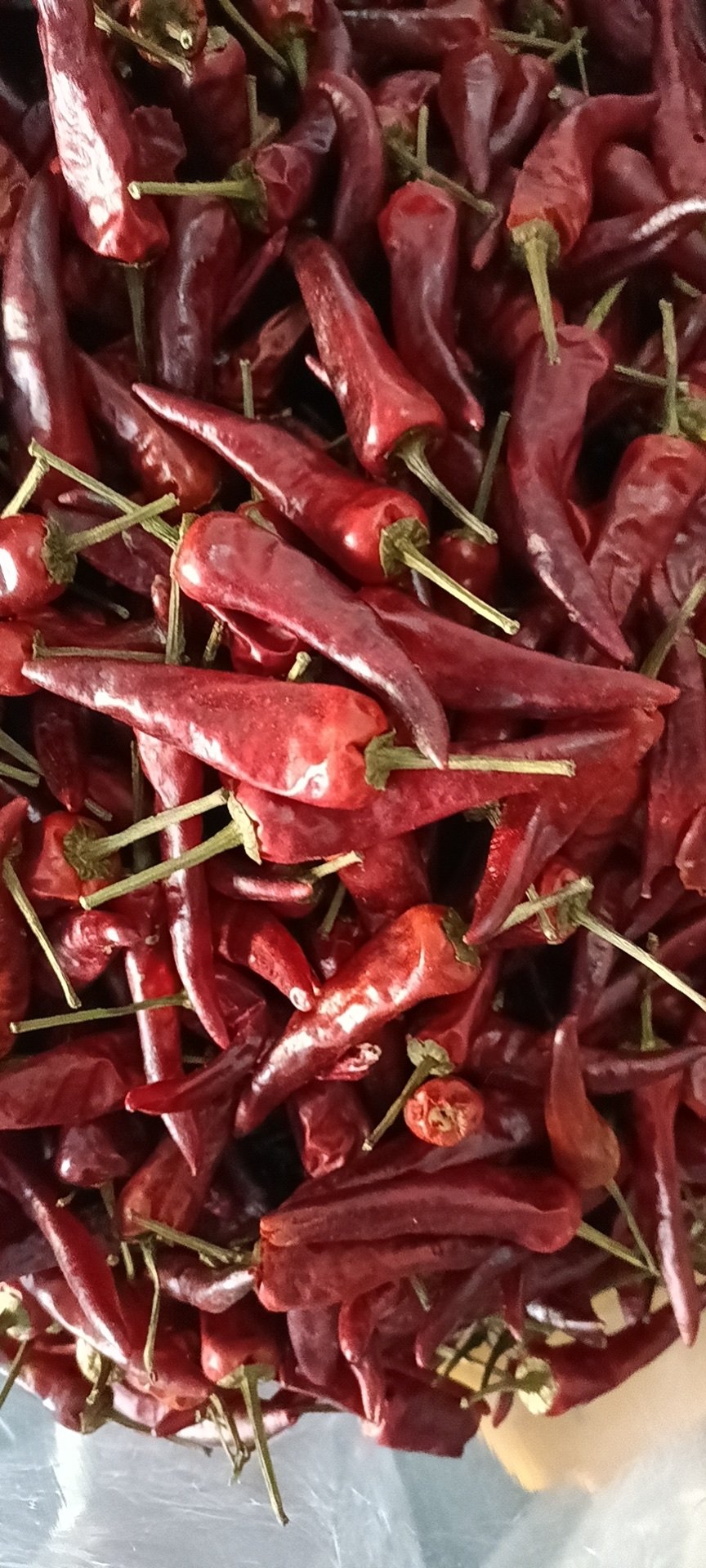 货很正宗,是正宗的福建辣椒王,看起来新鲜,给快递员呛的厉害.