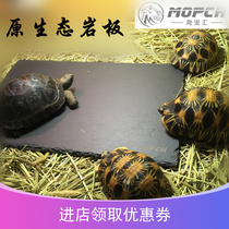 Tortoise mat original ecological stone slab food tray food basin moisturizing insulation natural landscaping grinding nail rock slab