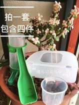 Snow pigeon bird raising set contains (splash-proof bird food box drinking fountain and health sand box)