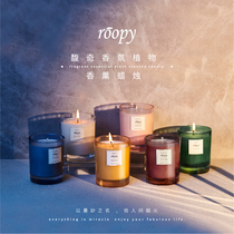roopy scented candle bedroom glass essential oil fragrance indoor sooty Soo bean wax smokeless fragrance