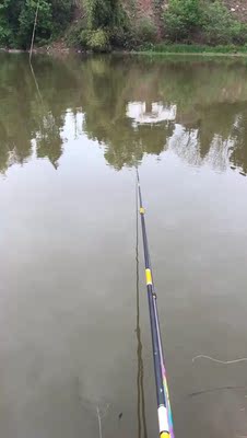 还可以啊 性价比高