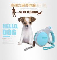 Japan Dog Rope with elegant high elastic flat tape automatic scaling belt large dog traction rope small dog chain Teddy