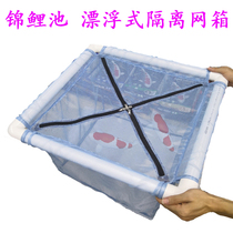 Brocade Carp Pond Brocade Carp Isolated Cage Fish Pond Suspended Built-in Transfer Water Isolated Net Ornamental Fish Hatching Matchbox