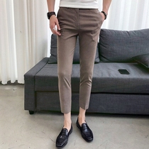 men's large size coffee color suit pants slim formal business trendy korean style casual straight casual pants men's qz