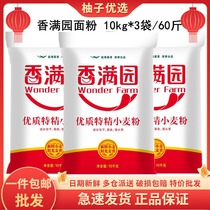(60 kilos) fragrant garden quality special fine wheat flour 10kg * 3 sacks of gluten universal flour to make all types of pasta food