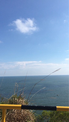 质量非常好，与卖家描述的完全一致，非常满意,真的很喜欢，完全超出期望值，发货速度非常快，包装非常仔细、严实，物流公司服务态度很好，运送速度很快，很满意的一次购物质量很好，希望更多的朋友信赖．店主态度特好，我会再次光顾的．可不可以再便宜点．我带朋友来你家买。不好意思评价晚了，非常好的店家，东西很欢！买来这个是送人的她很喜欢卖家的贴心让我感到很温暖。很热情的卖家，下次还来希望下次还有机会合作祝你生意兴隆质量非常好真出乎我的意料包装非常仔细非常感谢。祝生意兴隆！！