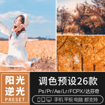 PS Autumn sweet orange travel wedding warm retro wind preset FCPXPRAE mobile phone VNLR color filter