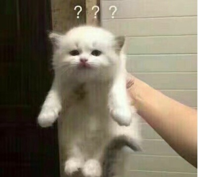 我什么都不知道 没有用过 啥也没收到 只是一个shua dan的 不要提问我 我什么都不知道 没有用过 啥也没收到 只是一个shua dan的 不要提问我