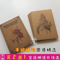 Boxed master handpainted Duredreduds botanical atlas retro cards China scenery tourism postcards