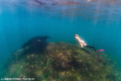 还不错,兜得住 还不错,兜得住