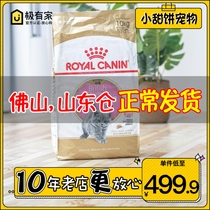 Royal cat food 10kg English short special grain BSk38 blue cat silver Gradual Layer Young Cat Milk Cat Felon Nutrition 10 kg