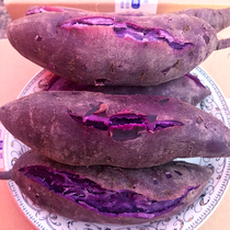 Fresh Purple Sweet Potato with box 5 catty farmhouse Self-seed Fresh Dig Sweet Potato Potato Fresh