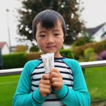 Essence Swedish Jabushe Jabushe Eye Cream 15ml to remove bags under the eyes lighten fine lines moisturize moisturize and rejuvenate the skin set