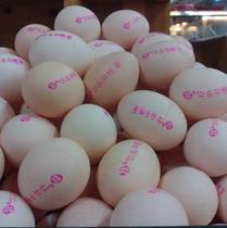 Big Dipper automatic small character inkjet printer date batch number egg duck egg assembly line inkjet printer