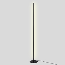 Nordic minimalist creative line floor lamp ins wind bedroom living room atmosphere lamp modern minimalist led vertical desk lamp