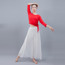 Flowing Chiffon Modern Dance Kung Fu Pants Classical Dance Costume Womens Dance Performance Costume Folk Dance Costume Dance Wide Leg Pants