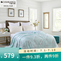 Cassian cuddling pearl mint by heaveness air conditioning summer cool by casa v antibacterial anti-mite washable air conditioning summer by