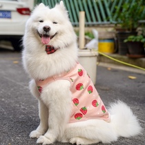 Shunfeng) pet plus velvet small strawberry vest autumn and winter thick vest golden hair Satsuma Ala big dog clothes