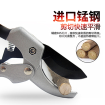 American ginseng scissors ginseng scissors hua zhi jian guo shu jian Chinese herbal medicine shear ginseng scissors tool