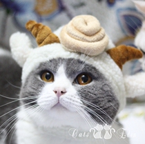 Pet cat dog transformed into happy sheep Beautiful sheep poop sheep Lamb hat head hood Funny and cute