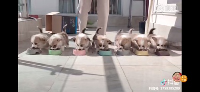 以前在天猫淘宝上买东西，都是系统自动好评，花了有好多好多钱，后来才知道淘宝评论得积分可以涨淘气值时，才知道评论的重要性，所以以后无论买什么东西，我都先把这段话复制粘贴下来，然后再写宝贝评论，没错，评论80个字以上就可以获得50个积分。