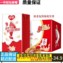 Yinlu Nutritious breakfast milk Peanut milk complex protein drink 250ml*16 boxes