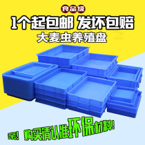 Square turnover box plastic disc yellow mealworm barley bread bug breeding box yellow mealworm spawning disc spawning sieve