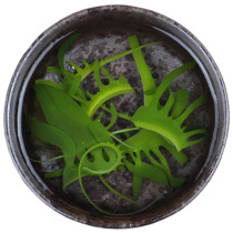 (Regular hair) Comb seaweed eyelash vegetable wakame eyebrow vegetable 500g