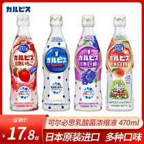 Japan imported Calpis corpis 5 times diluted lactic acid bacteria concentrate beverage children drink 470ml